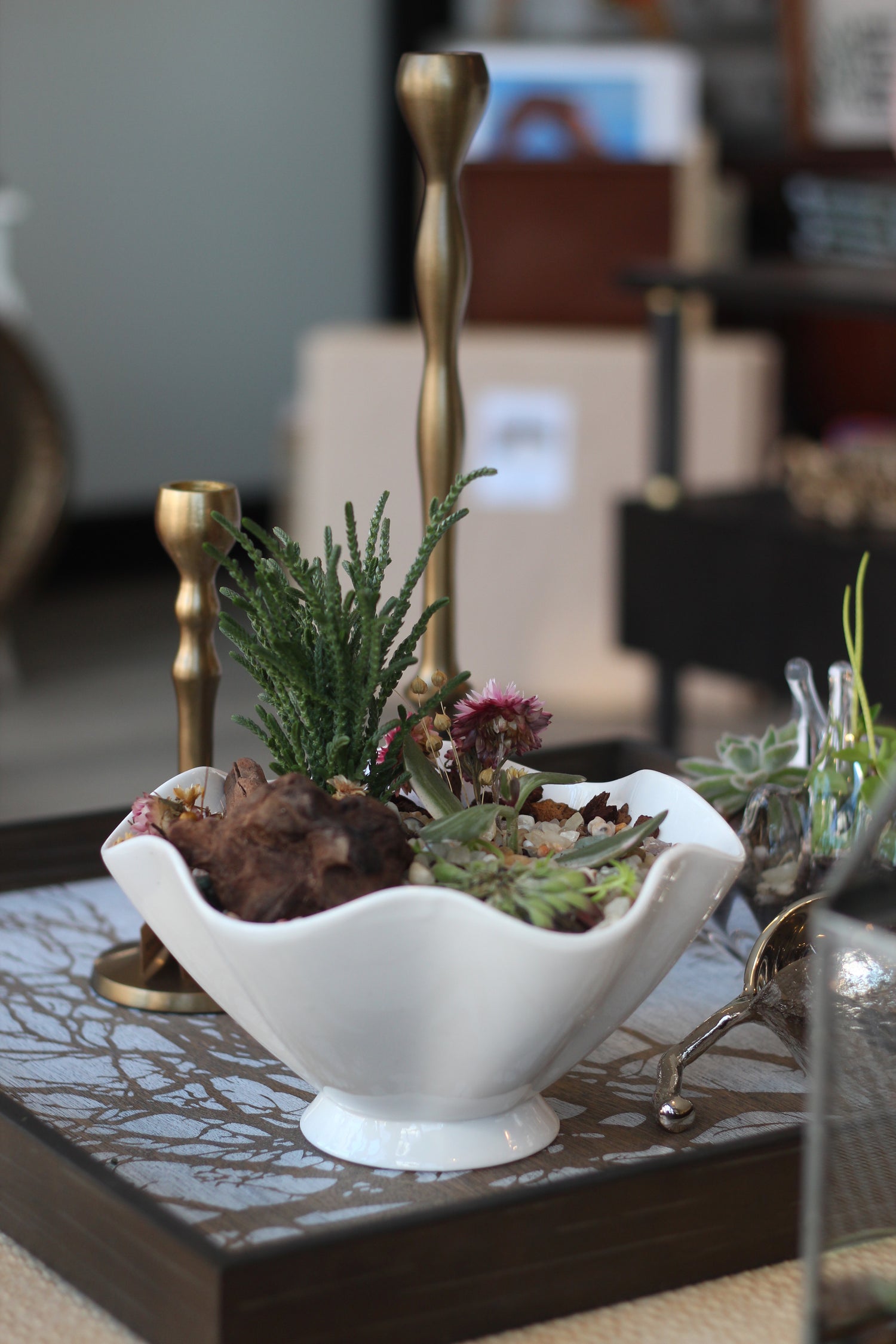 Gallery Pine + Quill